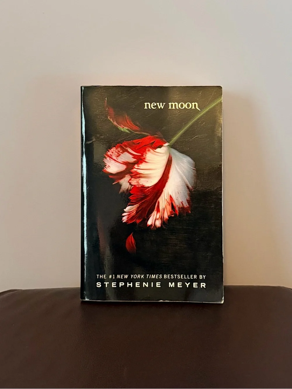 Twilight Series Boxed Set